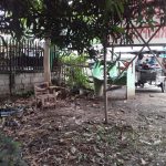 adjacent lots for sale in Poblacion Alubijid